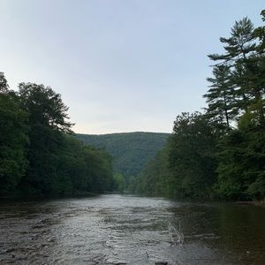 Meet your Posher, Nic